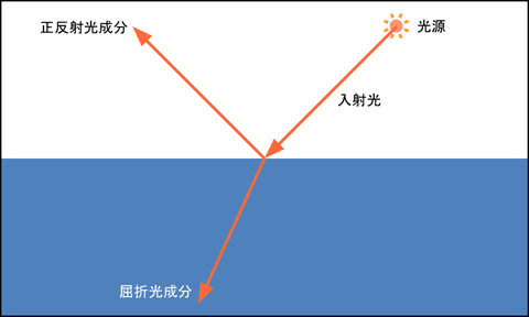 正反射光と屈折光