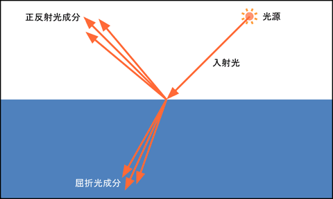 正反射光と屈折光の分散