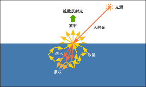 拡散反射光